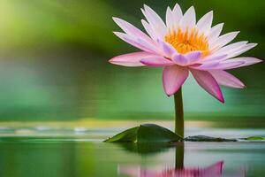 une Célibataire rose lotus fleur dans le l'eau. généré par ai photo