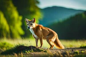 une rouge Renard permanent sur une saleté route dans le milieu de une champ. généré par ai photo