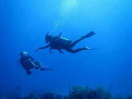 sous-marin exploration deux gens découvrir Marin la vie dans le océan sous-marin aventure avec deux plongeurs, explorant Marin la vie et profiter l'eau des sports. photo