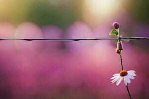 une Célibataire fleur est séance sur une fil. généré par ai photo