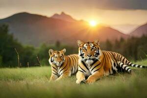 deux tigres pose dans le herbe à le coucher du soleil. généré par ai photo