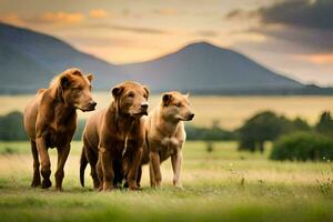 Trois marron chiens sont permanent dans une champ. généré par ai photo