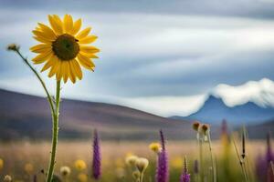 une Célibataire Jaune tournesol des stands dans de face de une champ de fleurs sauvages. généré par ai photo