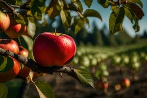 pommes sur une arbre dans un verger. généré par ai photo