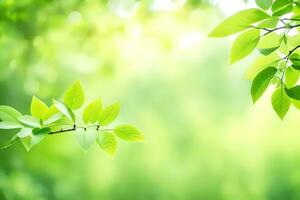 vert feuilles sur une ensoleillé journée. généré par ai photo