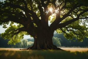 le Soleil brille par le feuilles de un vieux chêne arbre. généré par ai photo