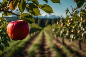 un Pomme est pendaison sur une arbre dans un verger. généré par ai photo