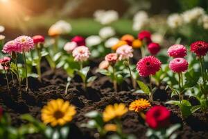 beaucoup différent coloré fleurs sont croissance dans le jardin. généré par ai photo