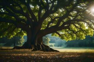 le Soleil brille par le feuilles de une grand arbre. généré par ai photo