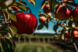 pommes sur le arbre. généré par ai photo