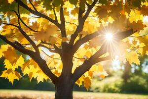 le Soleil brille par le feuilles de une arbre. généré par ai photo