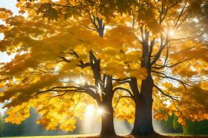 deux des arbres avec brillant Jaune feuilles dans le Soleil. généré par ai photo