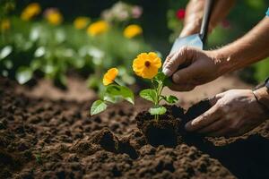 une homme est plantation une fleur dans le sol. généré par ai photo