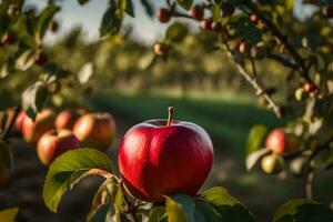 un Pomme est sur le arbre dans un verger. généré par ai photo