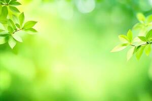 vert feuilles sur une ensoleillé journée. généré par ai photo