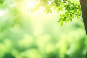 vert feuilles dans le lumière du soleil. généré par ai photo