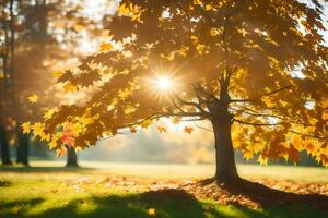 l'automne arbre avec Soleil brillant par feuilles. généré par ai photo