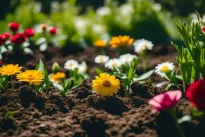 une champ de fleurs dans le printemps. généré par ai photo