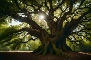 le Soleil brille par le branches de un vieux arbre. généré par ai photo