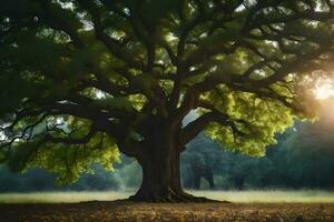 le Soleil brille par le feuilles de une grand arbre. généré par ai photo