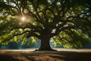 le Soleil brille par le feuilles de un chêne arbre. généré par ai photo