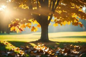 le Soleil brille par le feuilles sur une arbre. généré par ai photo