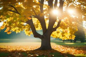 le Soleil brille par le feuilles de une arbre dans le automne. généré par ai photo