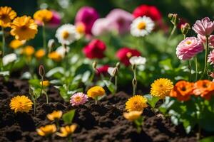 une champ de coloré fleurs dans le jardin. généré par ai photo