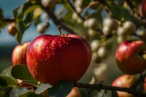 pommes sur une arbre. généré par ai photo