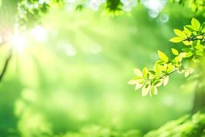 vert feuilles dans le lumière du soleil. généré par ai photo