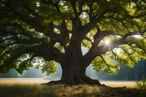 le Soleil brille par le feuilles de un chêne arbre. généré par ai photo