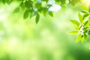 vert feuilles sur une ensoleillé journée. généré par ai photo