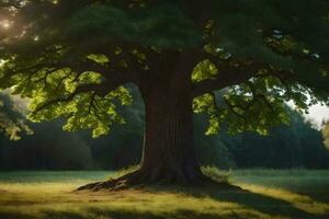 le Soleil brille par le feuilles de une grand arbre. généré par ai photo