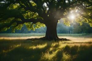 le Soleil brille par le feuilles de une grand arbre. généré par ai photo