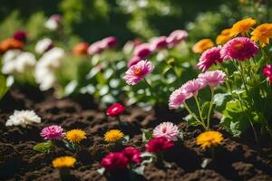 beaucoup différent coloré fleurs sont croissance dans le saleté. généré par ai photo