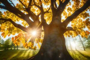 le Soleil brille par le feuilles de une arbre. généré par ai photo