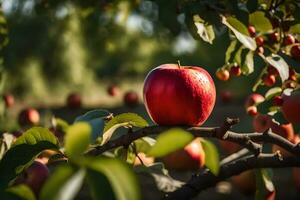 un Pomme est séance sur une branche dans un verger. généré par ai photo