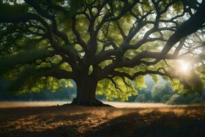 le Soleil brille par le feuilles de un vieux chêne arbre. généré par ai photo