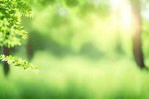 vert des arbres et Soleil dans le Contexte. généré par ai photo