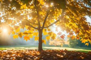 l'automne feuilles sur une arbre dans le Soleil. généré par ai photo