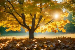 l'automne arbre dans le Soleil. généré par ai photo