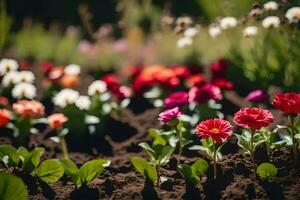 coloré fleurs dans le jardin. généré par ai photo