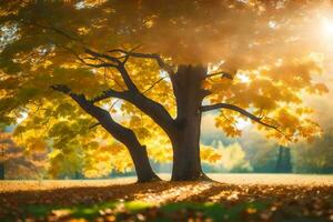 deux des arbres dans le Soleil avec feuilles chute. généré par ai photo