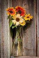 bouquet de tournesols dans un vase photo