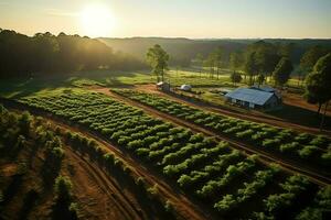 magnifique vue de une thé champ plantation, vignoble ferme ou fraise jardin dans le vert collines à lever du soleil concept par ai généré photo