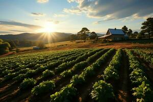 magnifique vue de une thé champ plantation, vignoble ferme ou fraise jardin dans le vert collines à lever du soleil concept par ai généré photo