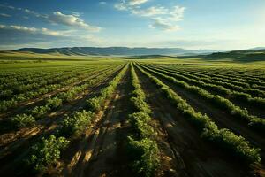 magnifique vue de une thé champ plantation, vignoble ferme ou fraise jardin dans le vert collines à lever du soleil concept par ai généré photo