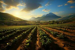 magnifique vue de une thé champ plantation, vignoble ferme ou fraise jardin dans le vert collines à lever du soleil concept par ai généré photo