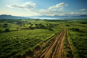 magnifique vue de une thé champ plantation, vignoble ferme ou fraise jardin dans le vert collines à lever du soleil concept par ai généré photo