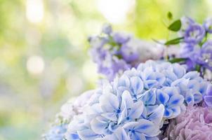 gros plan bouquet de fleurs photo